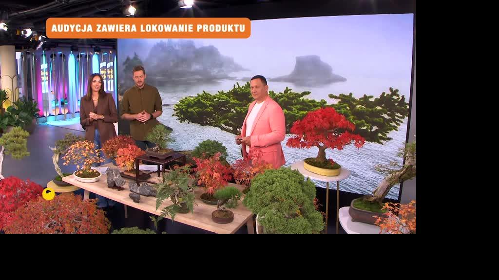 DD_20211016_Bonsai_REP