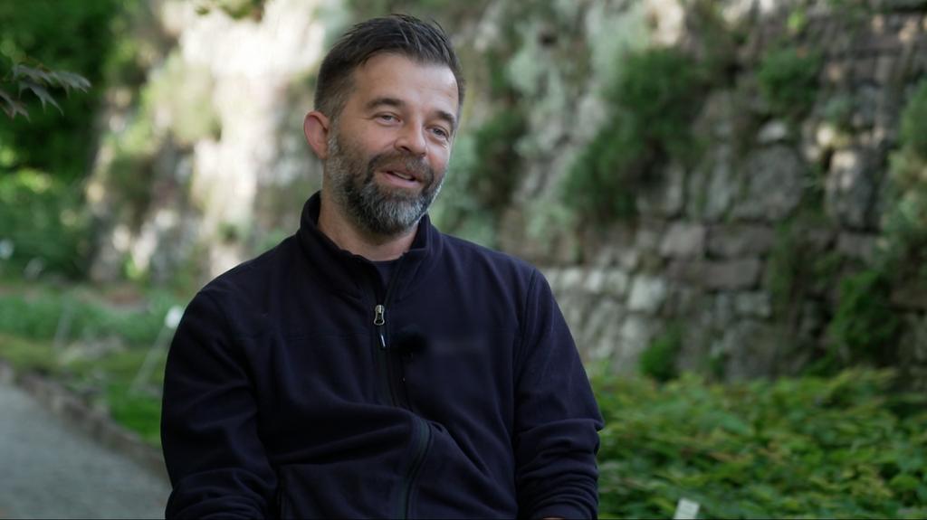prof. dr hab. Michał Węgrzyn