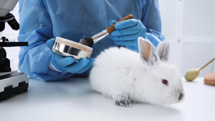 Dlaczego kosmetyki są testowane na zwierzętach? Jakie są alternatywne metody?
