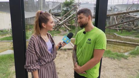 Orientarium ZOO Łódź. Dlaczego warto się tam wybrać?