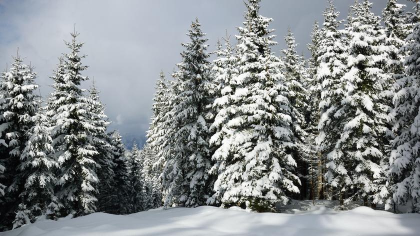 Pogoda na dzisiaj, 15 stycznia 2024. Uwaga na śliskie chodniki i nawierzchnie dróg