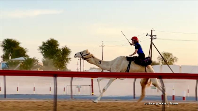 Licencja na wielbłądy 
