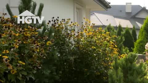 HGTV_NMWO_Wrzosowisko