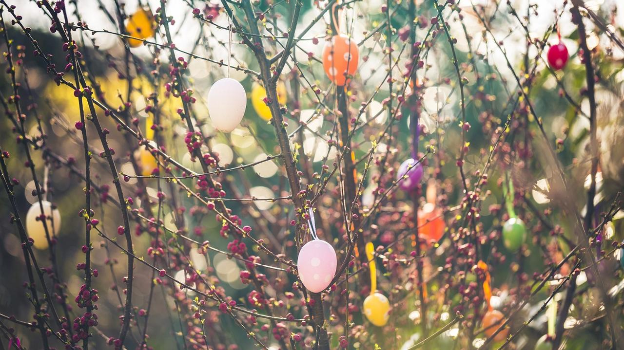 Wielkanocne pisanki na drzewach