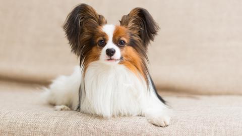 GettyImages-919583490