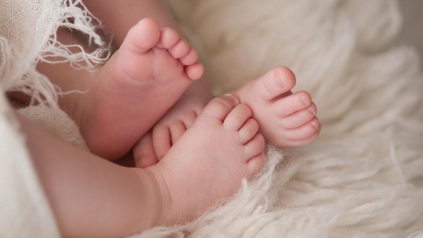 stopy noworodków
