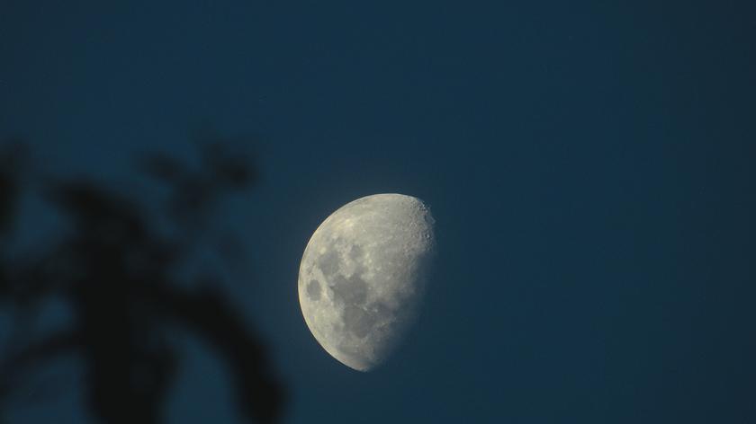 horoskop, niebo, księżyc