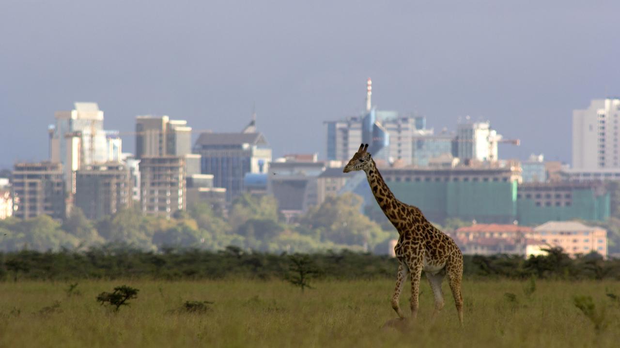 Co warto zobaczyć w Nairobi?