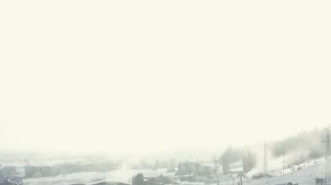 DD_20240118_Kwatery_rep_REP