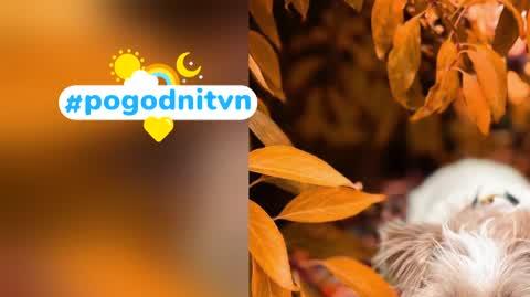 DD_20221024_Pogodni_REP