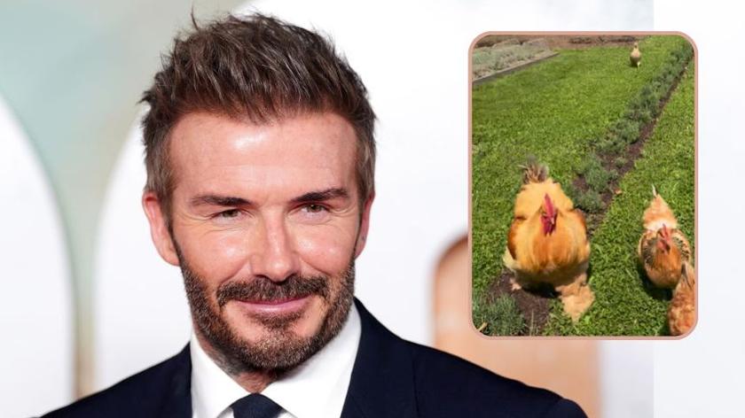 David Beckham pokazał swoją imponującą posiadłość