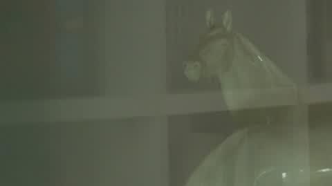 DD_20230905_Superwizjer_rep_REP