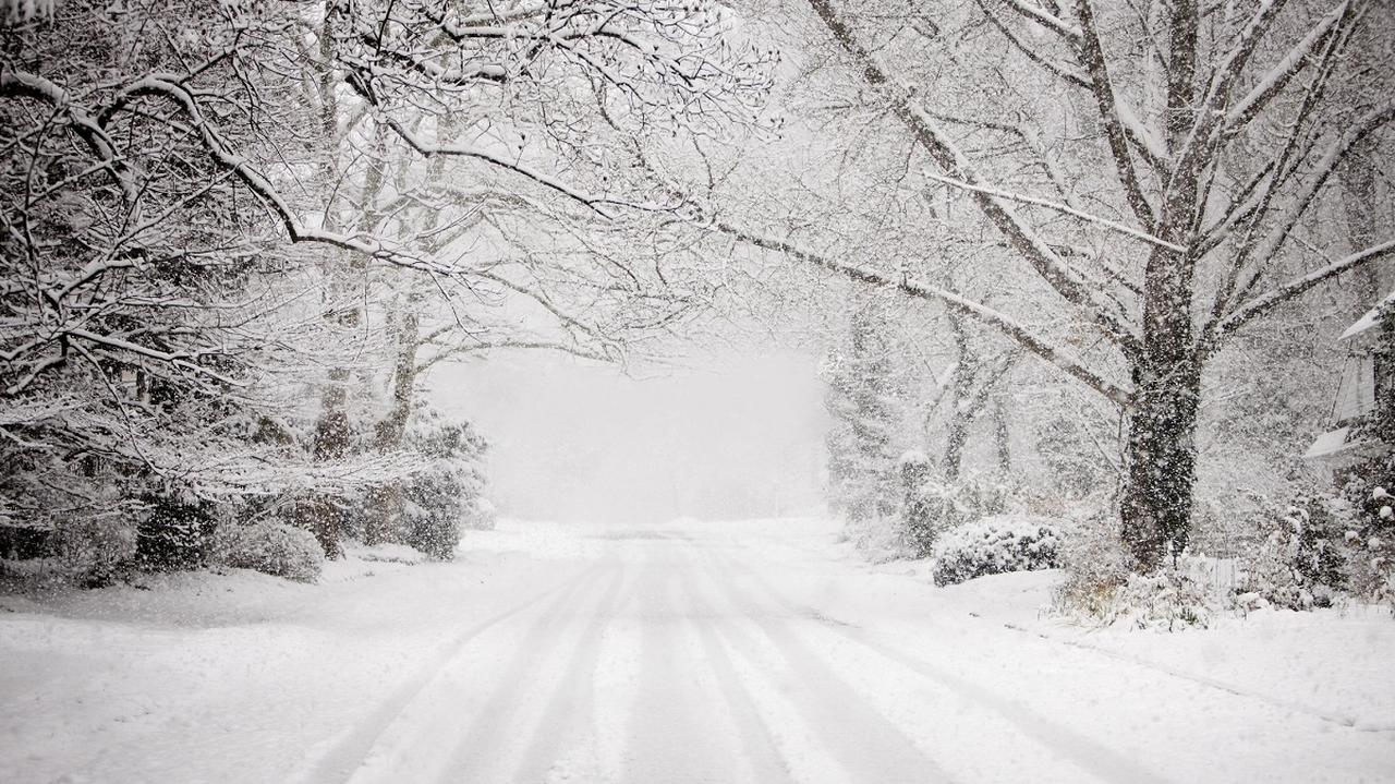 zima, śnieg, droga, drzewa pokryte śniegiem