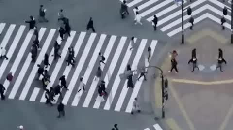 DD_20240321_AI_rep_REP