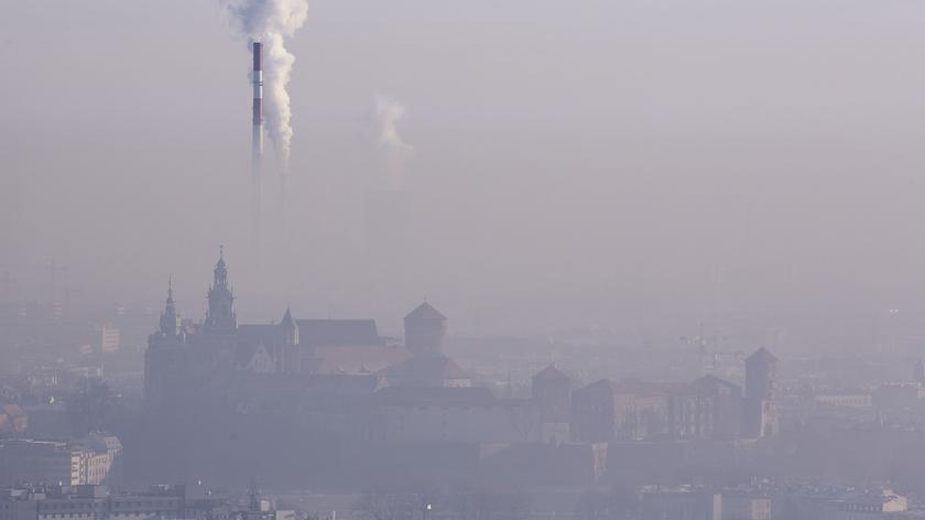 Z polskim smogiem walczą w Strasburgu 