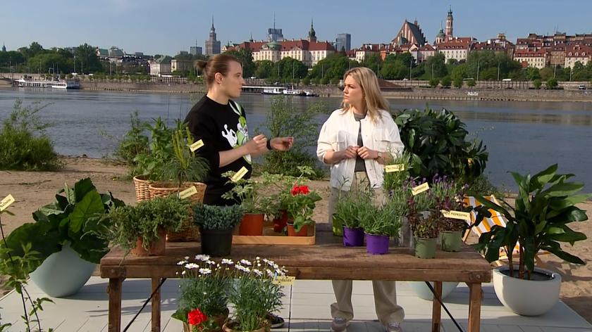 inż. Adam Mirek i Magda Bober