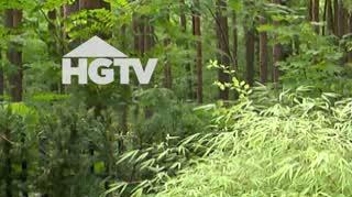 HGTV: Paprocie w ogrodzie 