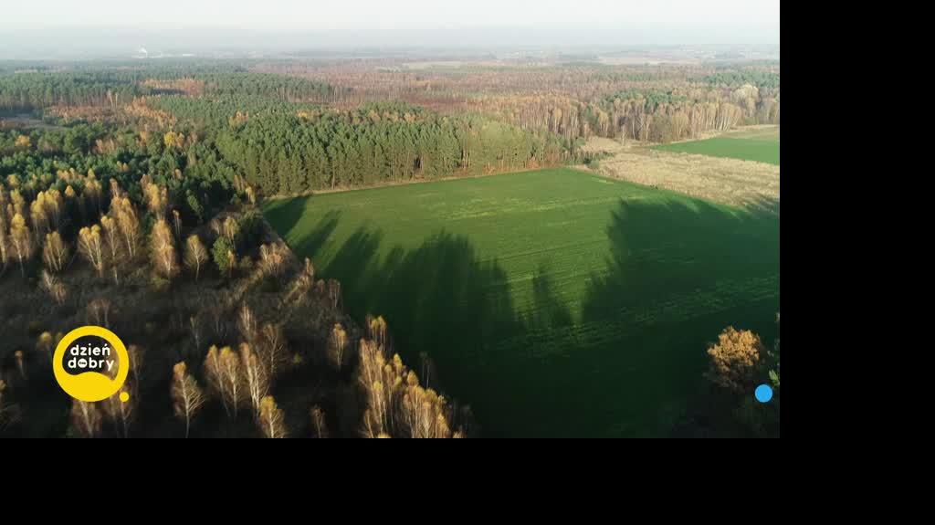 DD_20221019_Przystanki_REP