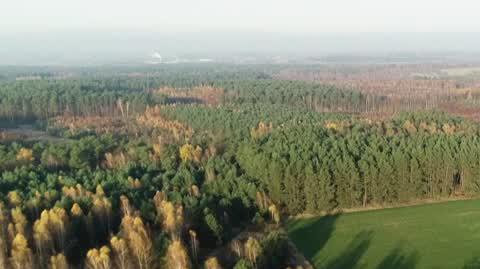 DD_20221019_Przystanki_REP