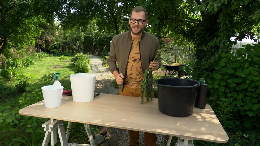 "OszczędzaMY": Sposób na piękny ogród i tanią pielęgnację