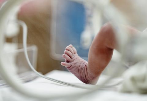 Znalazł w śmietniku dziecko z nieodciętą pępowiną. Chce je zatrzymać  