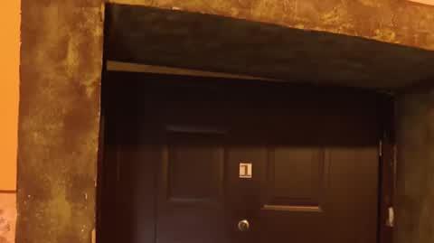 ORIGINAL (79)