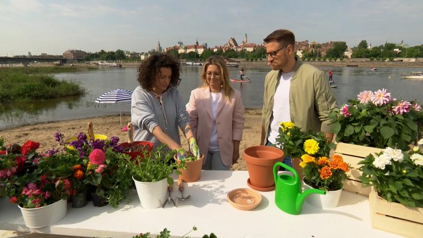 Anna Wojtala, florystka, Kinga Burzyńska, Robert Stockinger 