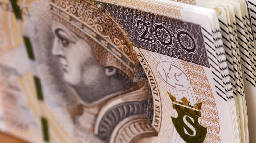 Świadczenie wspierające już obowiązuje. Kto i jak może dostać dodatkowe pieniądze?