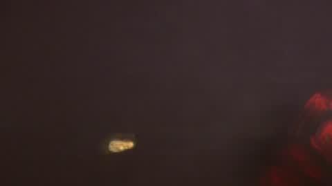 DD_20231112_Wystep_REP_ok