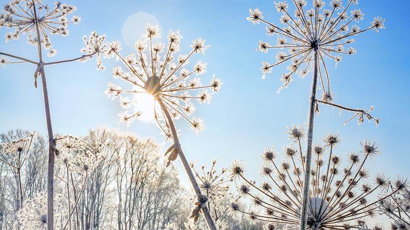 Pogoda na poniedziałek 13 lutego