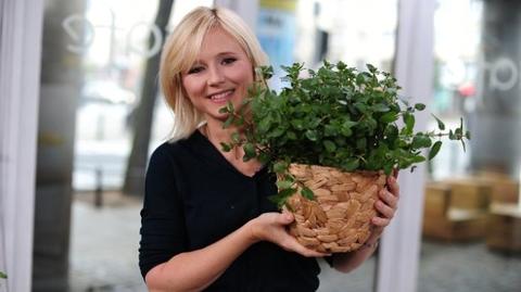 Najpiękniejsze kwietniki na balkon i do domu. Czat z Mają Popielarską