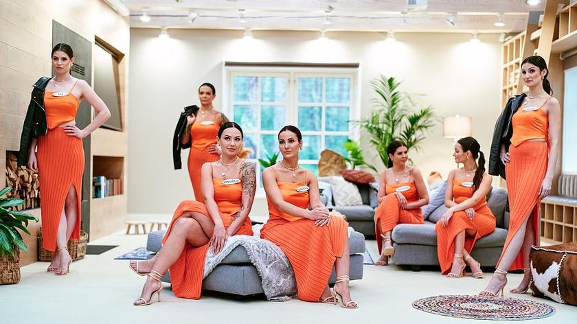 "Kocha, lubi, pasuje"