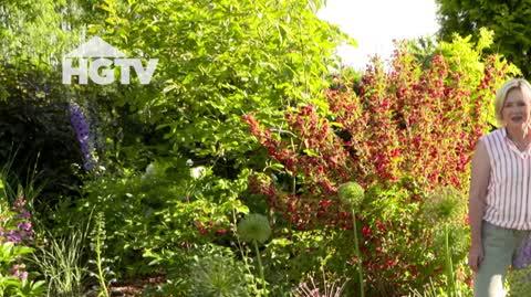 HGTV_NMWO_Kwiatowe_rabaty