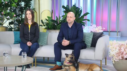 Dogoterapia, czyli pies na stres - leczenie PTSD