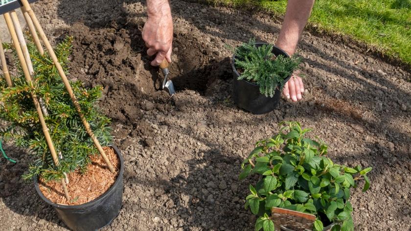 Planując ogródek działkowy, najpierw musimy określić jego główną funkcję. Radzimy, jak urządzić ogródek krok po kroku.