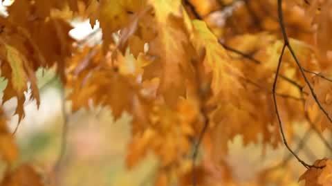DD_20231116_Bialko_rep_REP