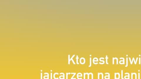 BRZYDULA_KTOJAJCARZEM