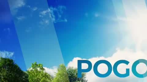 Pogoda