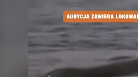 DD_20221102_Darwin_REP