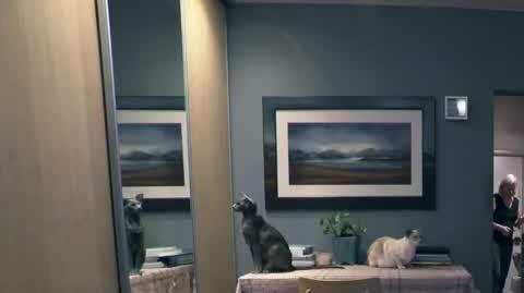 ORIGINAL (38)