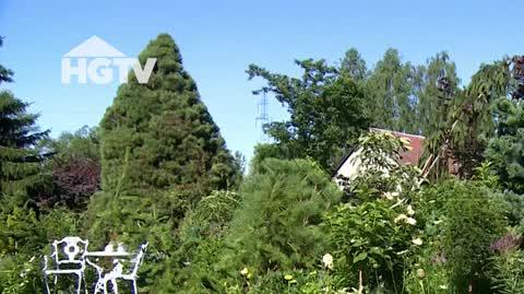 HGTV_MWO_Rabaty