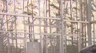 Zwierzęta z kijowskiego zoo przyjechały do Poznania 