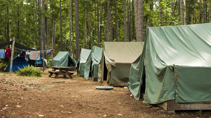 namioty, obóz w lesie