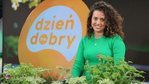 Czy anginka może leczyć? "Wspaniale łagodzi wszelkiego rodzaju stany zapalne"