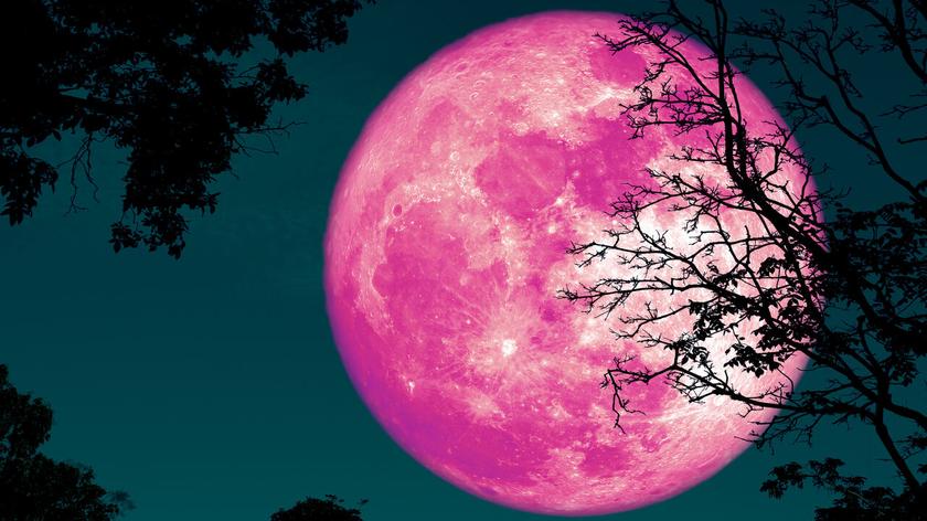 Różowy Księżyc w pełni