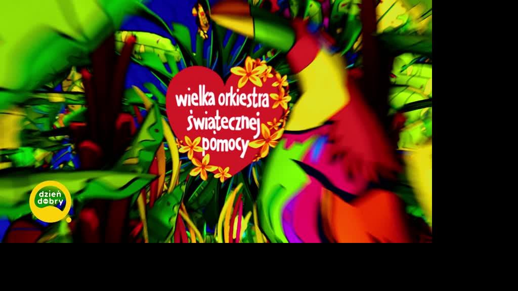 DD_20230129_WOSP_Wejscie_1_REP