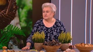 Nietypowe grzyby w polskich lasach
