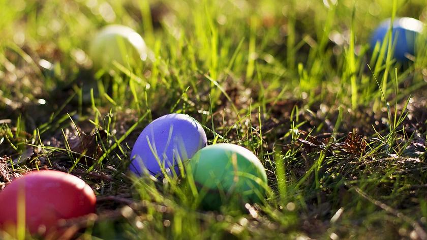 Jajka wielkanocne w trawie