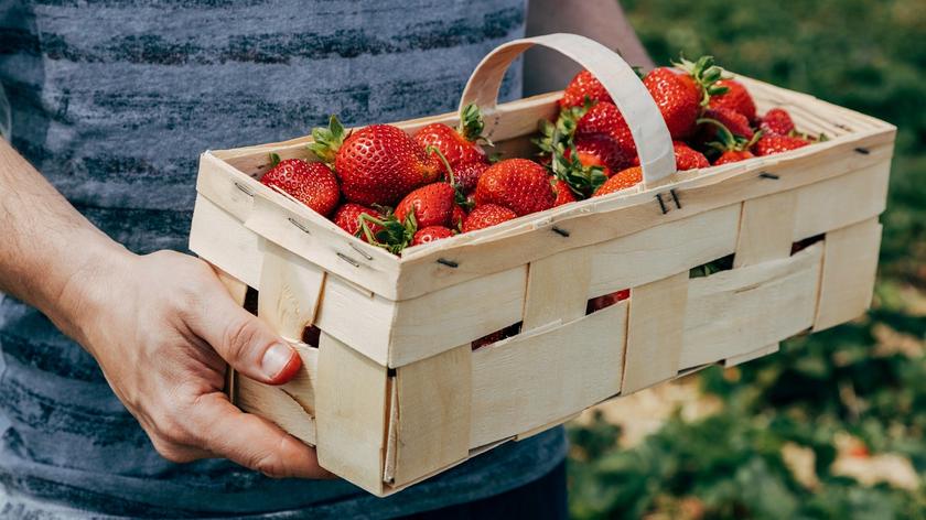 Truskawki w kobiałce